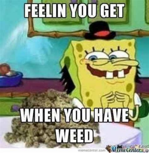 240 best 420 Memes images on Pinterest