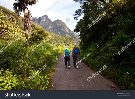 226 Climber Sri Lanka Images, Stock Photos & Vectors | Shutterstock