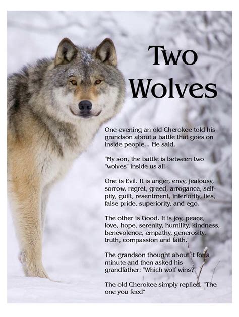 The Story of Two Wolves... An old Cherokee told his grandson, “My Son, there is a battle between ...