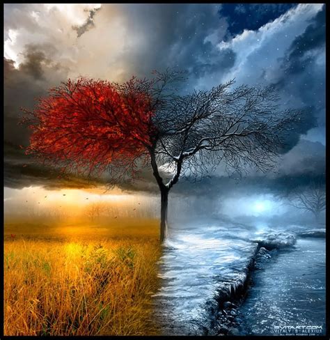 Let The Seasons Change | Seasons art, Fantasy tree, Changing seasons