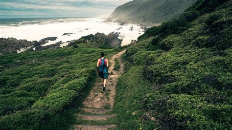 Where Is Garden Route : This section of garden route national park is ...