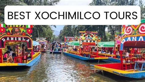 8 Best Xochimilco Tours From Mexico City In 2024