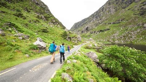 Ring of Kerry - Tours, Map & Best Views | Wilderness Ireland