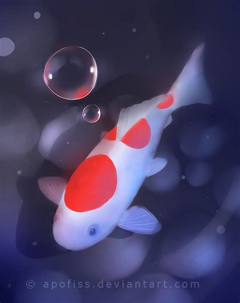 kohaku koi fishu by Apofiss on DeviantArt