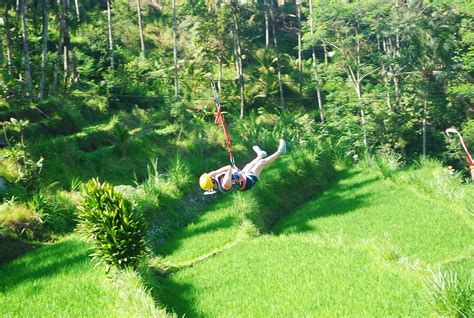 Bali Treetop Adventures Ceases Operations | Bali Discovery