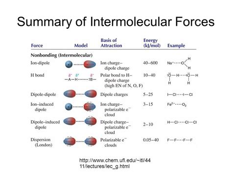 What are the intermolecular forces? + Example