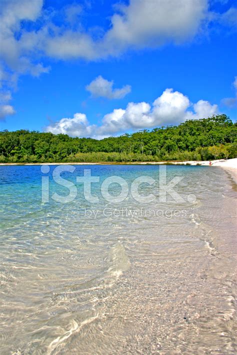 Lake Mckenzie, Fraser Island, Australia Stock Photo | Royalty-Free | FreeImages