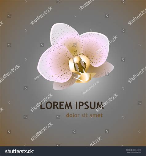 Logo Orchid Flower Vector: vector de stock (libre de regalías) 308646875