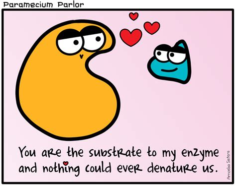 Enzyme and Substrate Comic - SCIENCE WITH THE AMOEBA SISTERS