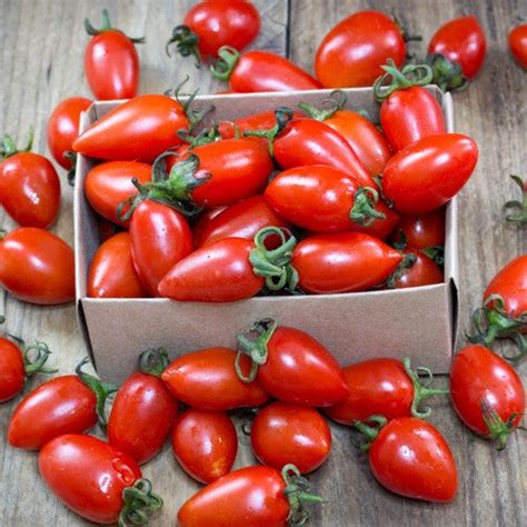 San Marzano Tomato Seeds at $.99/pack | SeedsNow!