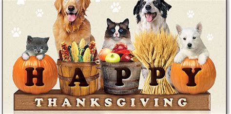 Happy Thanksgiving!! | Willow Animal Hospital