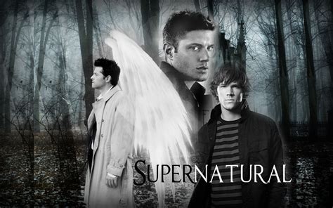 Cass, Dean and Sam - Supernatural Fan Art (20492648) - Fanpop