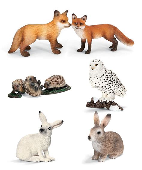 European Wildlife Figurine Set | zulily | Animals wild, Animals, Schleich