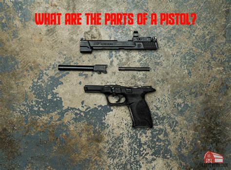 Parts of a Pistol - Explained + Diagram TargetBarn.com