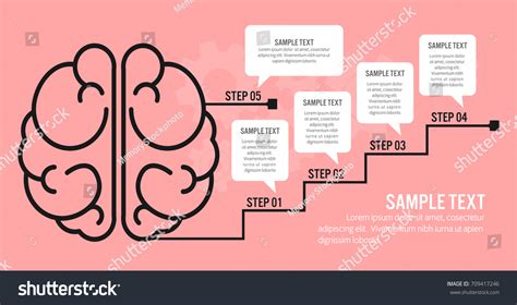 Brain Function Infographics Stock Vector (Royalty Free) 709417246 ...