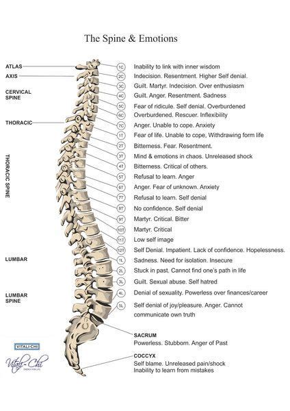 SPINAL PROBLEMS ARE A PAIN IN THE BACK (ROOT CHAKRA) | Spinal pain, Causes of back pain, Emotion ...