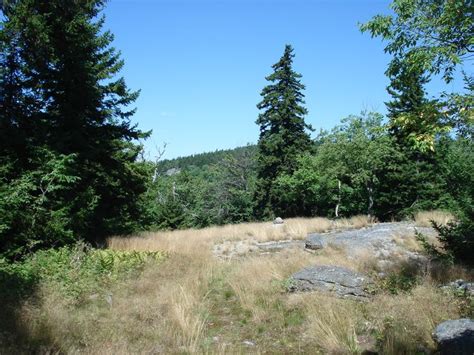 a grassy field with trees and rocks in the foreground on a clear, sunny day