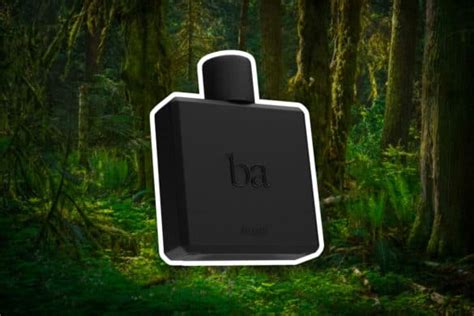 15 Best Perfumes for Men of 2023 - Daily Front Row