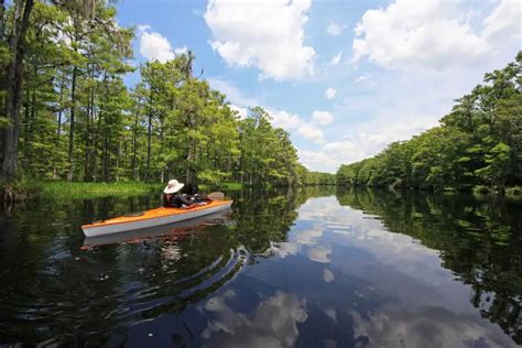 Fisheating Creek - 7 Surprising Things You Never Knew - Floridaing