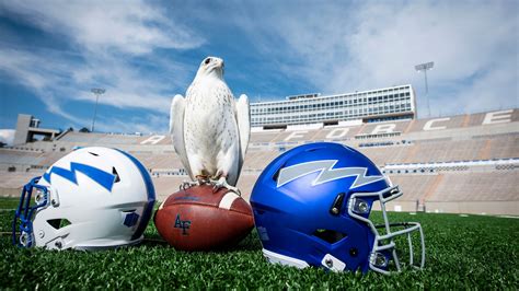 Air Force Academy announces name of new falcon mascot | FOX21 News Colorado