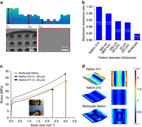 Multiscale Nafion membrane and its properties. (a) Schematic... | Download Scientific Diagram