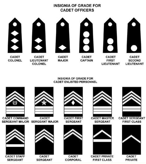 Cadet Ranks Diagram | Quizlet