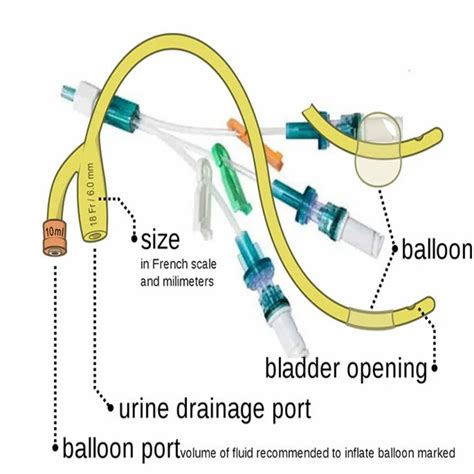 Foley Balloon Catheter at Rs 17/piece | Silicone Foley Catheter in ...