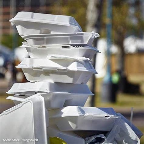 NO to Styrofoam! YES to Eco-Friendly Alternatives! | Take action, Styrofoam, Food containers