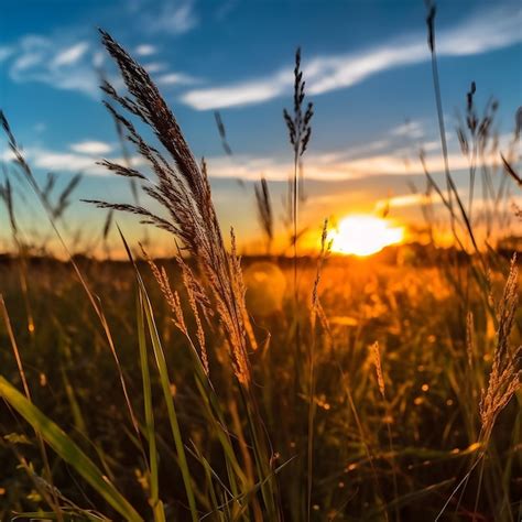 Premium AI Image | Close up photo of tall grasses in a wild field at ...