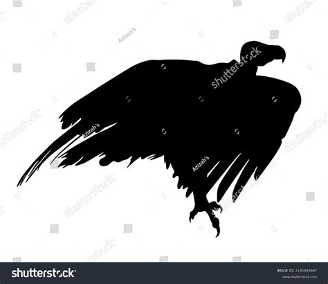 Flying Vulture Silhouette Isolated On White Stock Vector (Royalty Free ...