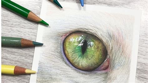 How to Draw Green Cat Eyes in COLORED PENCIL - YouTube