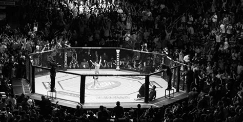 UFC Arena Wallpapers - 4k, HD UFC Arena Backgrounds on WallpaperBat