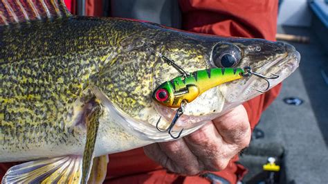 Best Walleye Lures for Fishing - Wired2Fish