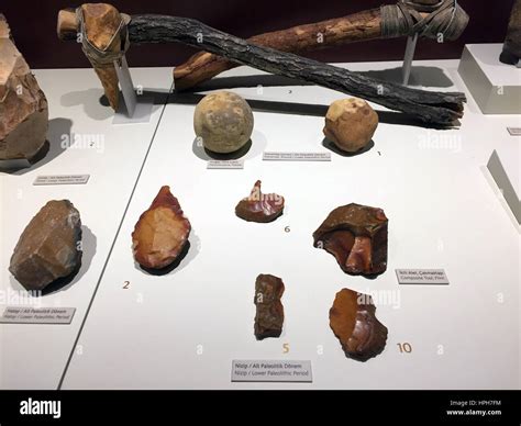 Paleolithic Age Tools