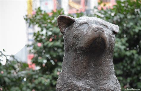 Hachiko - The Statue of Shibuya’s Faithful Dog