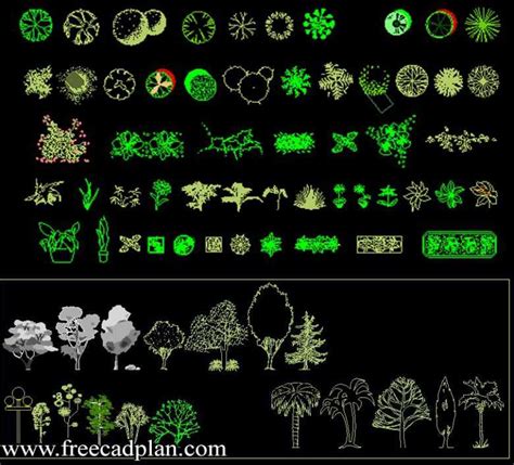 Trees and Plants CAD Block for autocad - dwg download - free cad plan