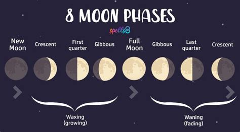 Eight phases of the Moon explained | Moon phases, Lunar phase, Moon magic