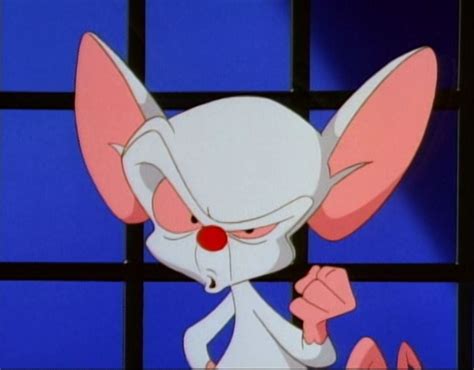 Pinky And The Brain Gif : Pinky And The Brain GIFs | Tenor : Безплатен снимки на pinky and the ...