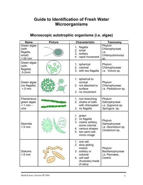 Guide to Identification of Fresh Water Microorganisms