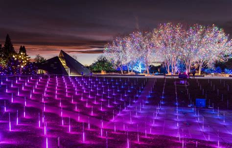 Denver Botanic Gardens, Blossoms Of Light – APOLLO COLORADO