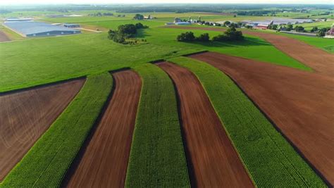 Strip farming fields, agricultural landscape in the early morning ...