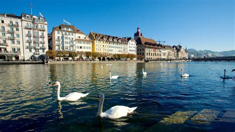 Centre historique de Lucerne, CH location de vacances: appartements de ...