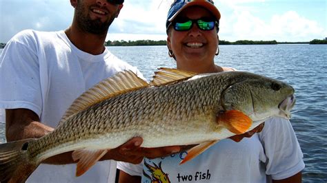 Snook Fishing Season Florida - Fish Choices