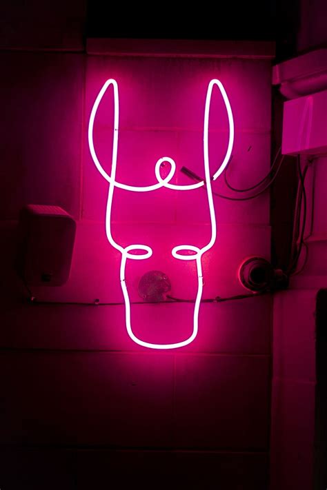 HD wallpaper: pink neon sign, illuminated, communication, glowing, pink ...