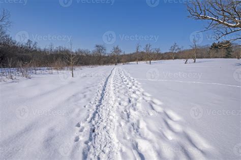 Hiking Trail in the Snow 3137556 Stock Photo at Vecteezy