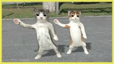 🤪 Caught the cats lackin😹 #funny #spongebob #fun #cats #dance - YouTube