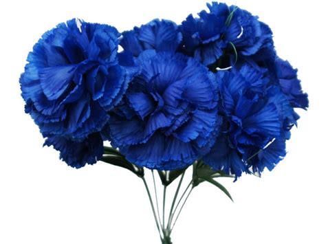 Pin by Yza Fujiko on Blue Flowers | Carnations, Flower bouquet wedding, Wedding vase centerpieces