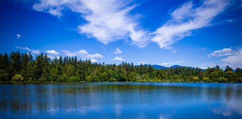 Lost Lagoon Vancouver by josepalma on DeviantArt