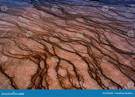 Mud Flat Patterns stock photo. Image of wyoming, sterile - 241644