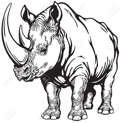 Rhino Head Drawing | Free download on ClipArtMag